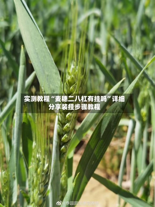 实测教程“麦穗二八杠有挂吗”详细分享装挂步骤教程