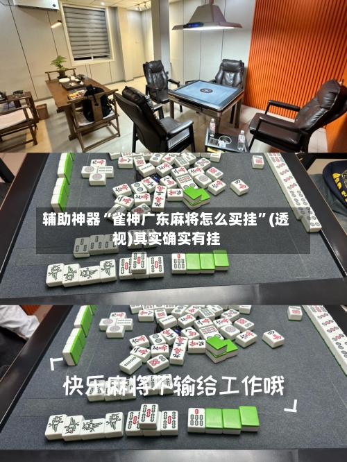辅助神器“雀神广东麻将怎么买挂”(透视)其实确实有挂