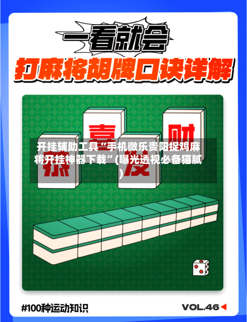 开挂辅助工具“手机微乐贵阳捉鸡麻将开挂神器下载”(曝光透视必备猫腻)