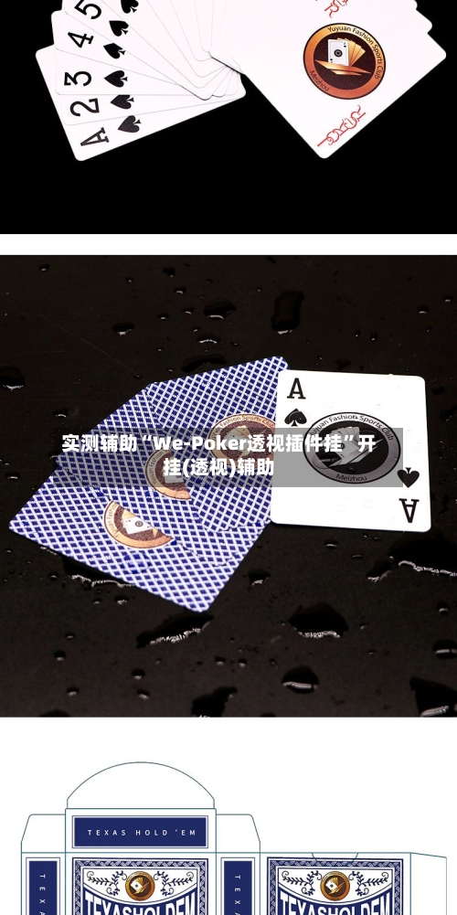 实测辅助“We-Poker透视插件挂”开挂(透视)辅助