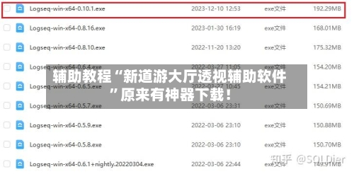 辅助教程“新道游大厅透视辅助软件”原来有神器下载！