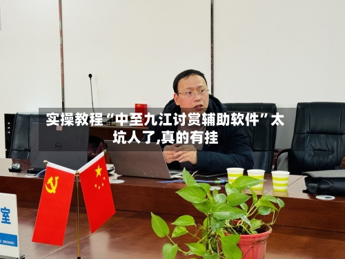 实操教程“中至九江讨赏辅助软件”太坑人了,真的有挂