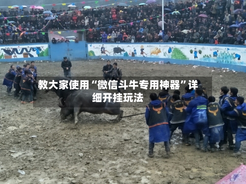 教大家使用“微信斗牛专用神器”详细开挂玩法