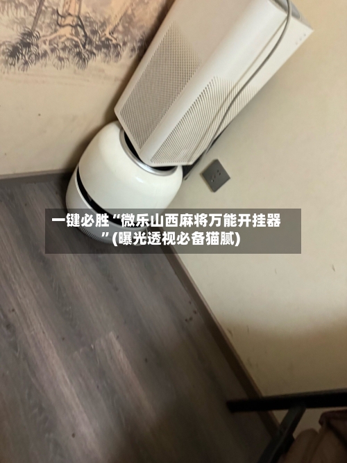 一键必胜“微乐山西麻将万能开挂器”(曝光透视必备猫腻)