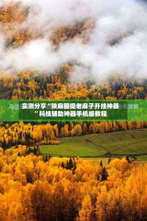 实测分享“陕麻圈捉老麻子开挂神器”科技辅助神器手机版教程