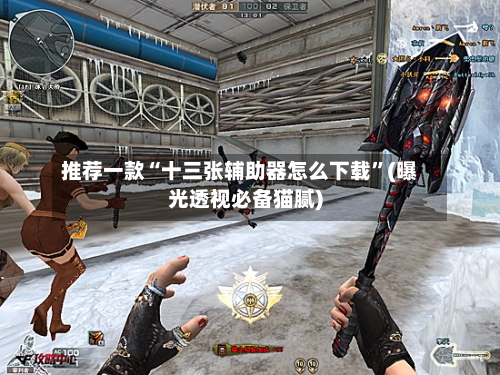推荐一款“十三张辅助器怎么下载”(曝光透视必备猫腻)