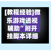 [教程经验]微乐游戏透视辅助”附开挂脚本详细步骤
