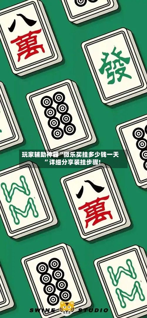 玩家辅助神器“微乐买挂多少钱一天”详细分享装挂步骤!