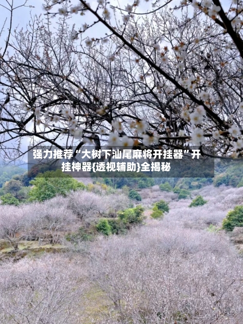 强力推荐“大树下汕尾麻将开挂器”开挂神器{透视辅助}全揭秘