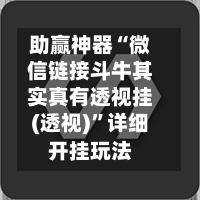 助赢神器“微信链接斗牛其实真有透视挂(透视)”详细开挂玩法