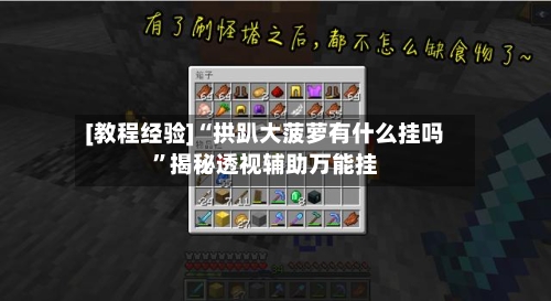 [教程经验]“拱趴大菠萝有什么挂吗”揭秘透视辅助万能挂