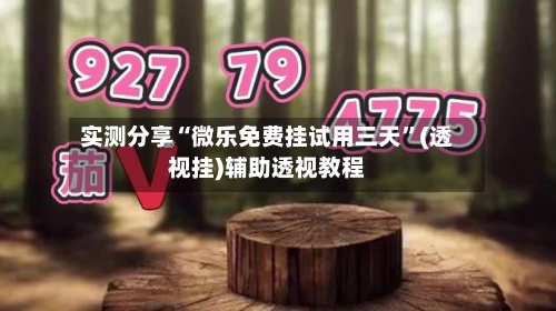 实测分享“微乐免费挂试用三天”(透视挂)辅助透视教程