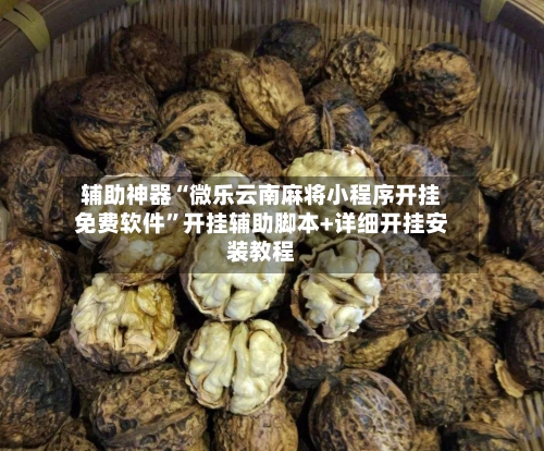 辅助神器“微乐云南麻将小程序开挂免费软件”开挂辅助脚本+详细开挂安装教程