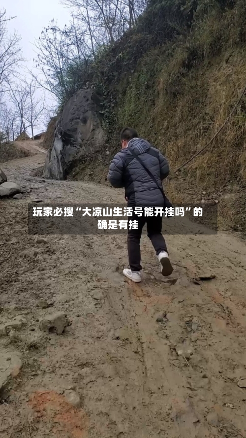 玩家必搜“大凉山生活号能开挂吗”的确是有挂