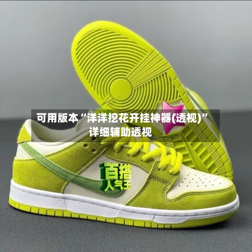 可用版本“洋洋挖花开挂神器(透视)”详细辅助透视