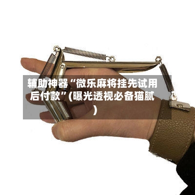辅助神器“微乐麻将挂先试用后付款”(曝光透视必备猫腻)