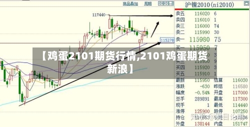 【鸡蛋2101期货行情,2101鸡蛋期货新浪】