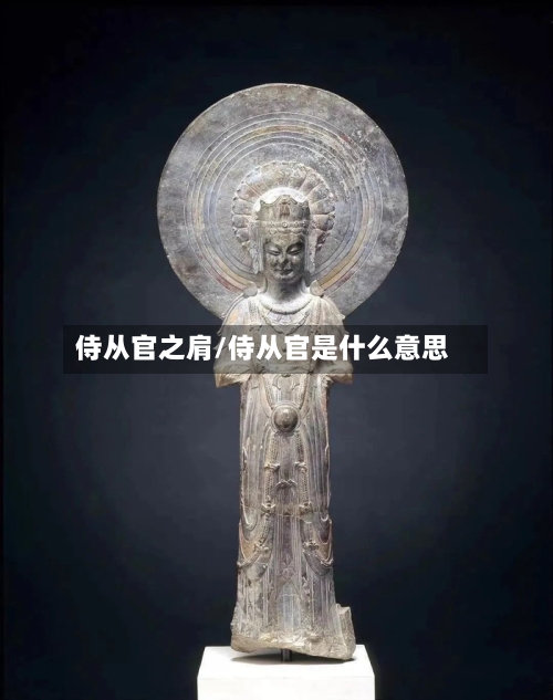 侍从官之肩/侍从官是什么意思