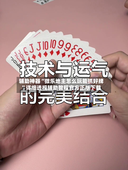 辅助神器“微乐地主怎么玩能抓好牌”详细透视辅助教程官方正版下载