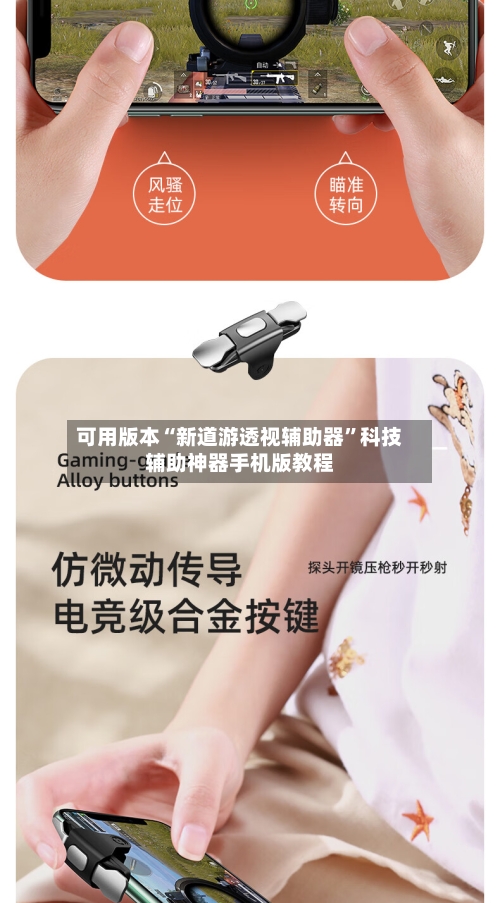 可用版本“新道游透视辅助器”科技辅助神器手机版教程