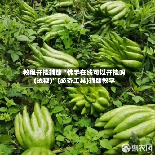 教程开挂辅助“佛手在线可以开挂吗(透视)”(必备工具)辅助教学