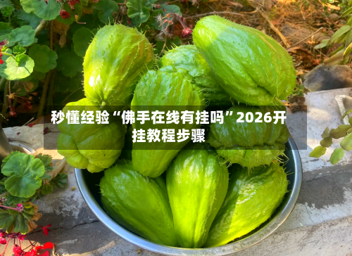 秒懂经验“佛手在线有挂吗”2026开挂教程步骤