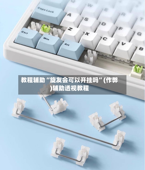 教程辅助“旋友会可以开挂吗”(作弊)辅助透视教程