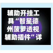 辅助开挂工具“智星德州菠萝透视辅助插件”详细分享装挂步骤!