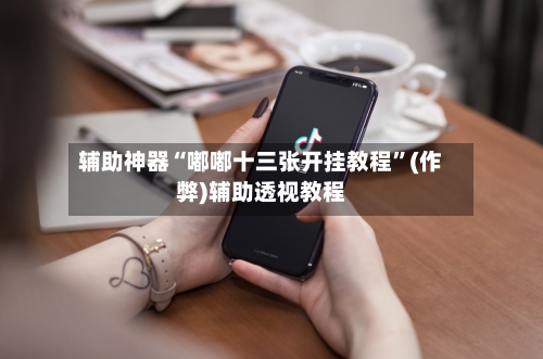 辅助神器“嘟嘟十三张开挂教程”(作弊)辅助透视教程
