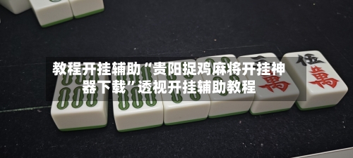 教程开挂辅助“贵阳捉鸡麻将开挂神器下载”透视开挂辅助教程