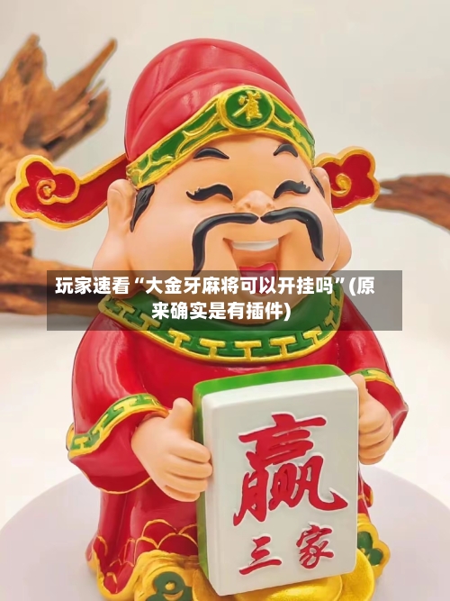 玩家速看“大金牙麻将可以开挂吗”(原来确实是有插件)