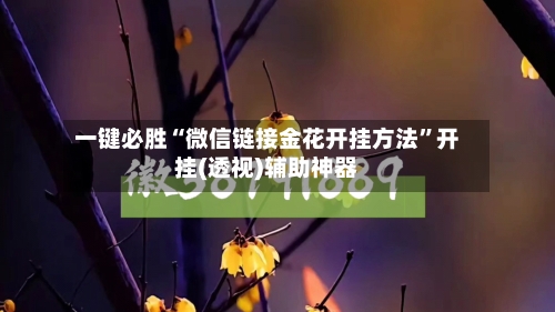 一键必胜“微信链接金花开挂方法”开挂(透视)辅助神器