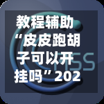 教程辅助“皮皮跑胡子可以开挂吗”2026透视开挂