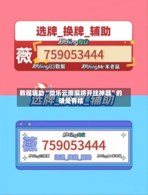 教程辅助“微乐云南麻将开挂神器”的确是有挂