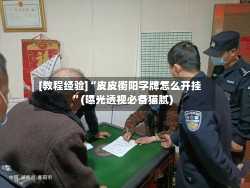 [教程经验]“皮皮衡阳字牌怎么开挂”(曝光透视必备猫腻)