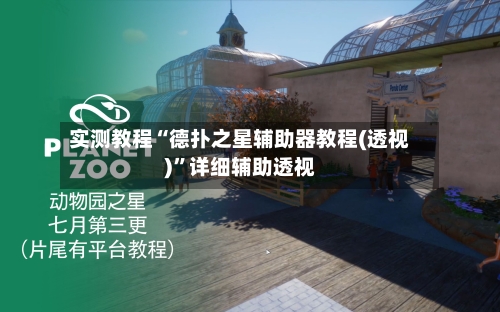 实测教程“德扑之星辅助器教程(透视)”详细辅助透视