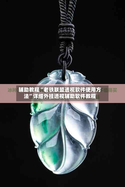辅助教程“老铁联盟透视软件使用方法”详细外挂透视辅助软件教程
