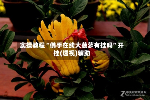 实操教程“佛手在线大菠萝有挂吗”开挂(透视)辅助