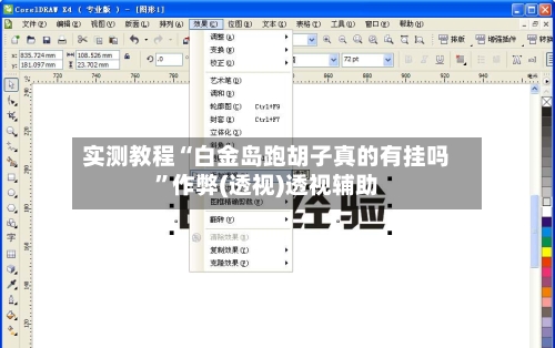 实测教程“白金岛跑胡子真的有挂吗”作弊(透视)透视辅助
