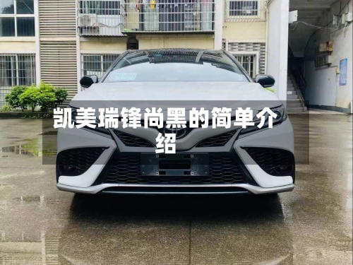 凯美瑞锋尚黑的简单介绍
