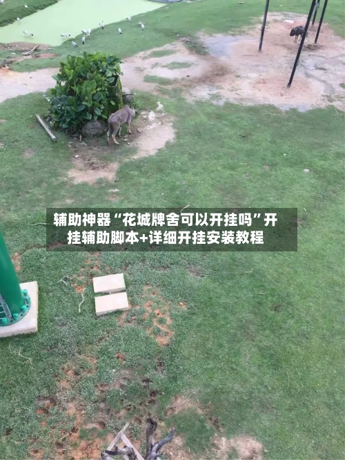 辅助神器“花城牌舍可以开挂吗”开挂辅助脚本+详细开挂安装教程