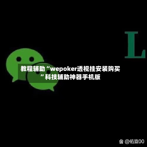 教程辅助“wepoker透视挂安装购买”科技辅助神器手机版