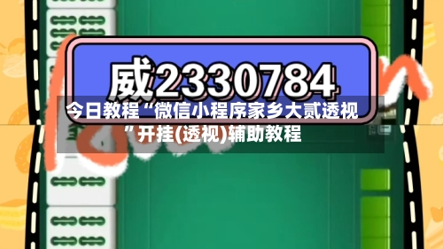 今日教程“微信小程序家乡大贰透视”开挂(透视)辅助教程
