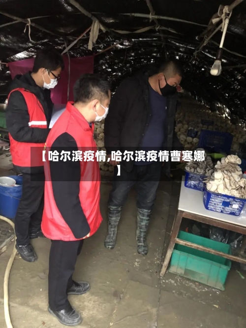 【哈尔滨疫情,哈尔滨疫情曹寒娜】
