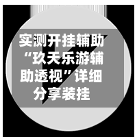 实测开挂辅助“玖天乐游辅助透视”详细分享装挂
