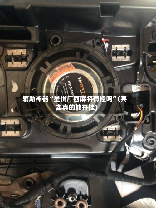 辅助神器“星悦广西麻将有挂吗”(其实真的能开挂)