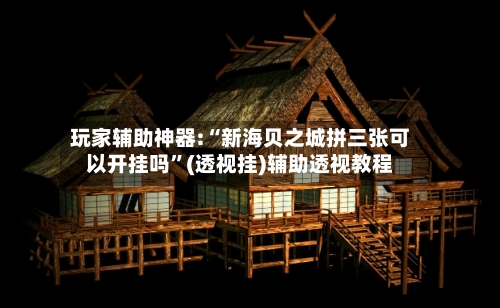 玩家辅助神器:“新海贝之城拼三张可以开挂吗”(透视挂)辅助透视教程