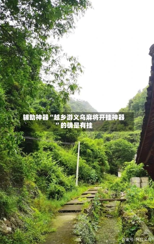 辅助神器“越乡游义乌麻将开挂神器”的确是有挂