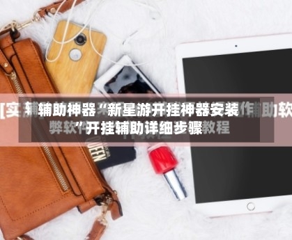 辅助神器“新星游开挂神器安装”开挂辅助详细步骤