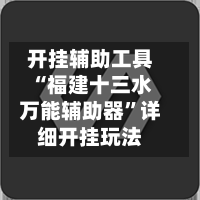 开挂辅助工具“福建十三水万能辅助器”详细开挂玩法
